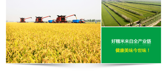 糯米批發(fā)產業(yè)鏈