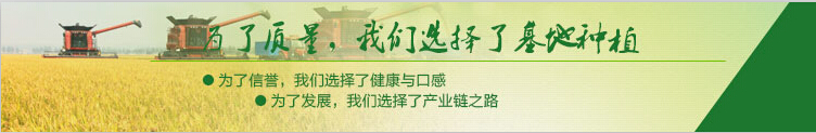 糯米粉廠