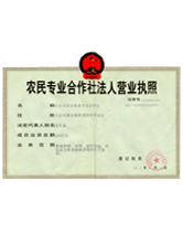 農(nóng)民專業(yè)合作社法人營業(yè)執(zhí)照