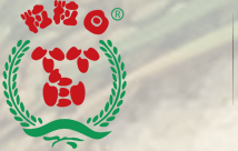 今世味糯米|糯米粉|大米粉加工生產廠家