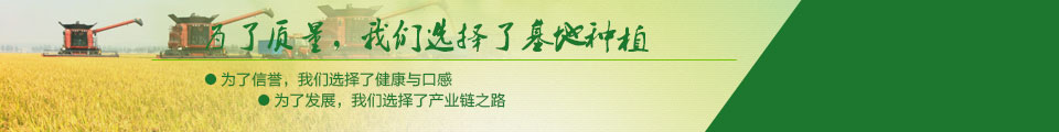為了質(zhì)量，我們選擇了基地種植
